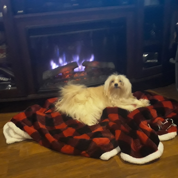 Please Like for Live Show Notification! - Picture 2 of 15